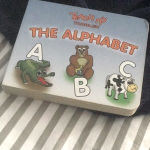 teach my toddler book